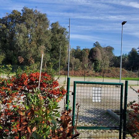 Appartamento 9 Residance Piviere Calambrone Exteriör bild