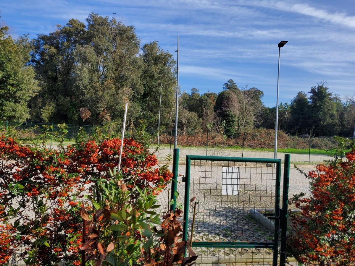 Appartamento 9 Residance Piviere Calambrone Exteriör bild